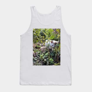 Little cat Susi in the garden Tank Top